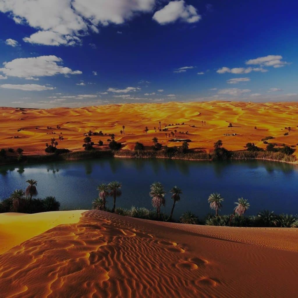 Al Fayoum Oasis