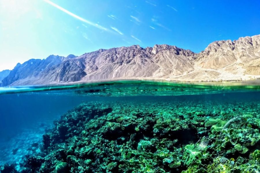 Three Pools Snorkelling