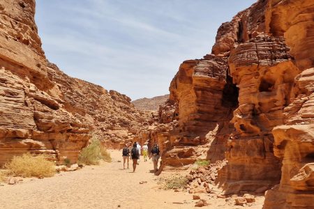 White Canyon Safari 13