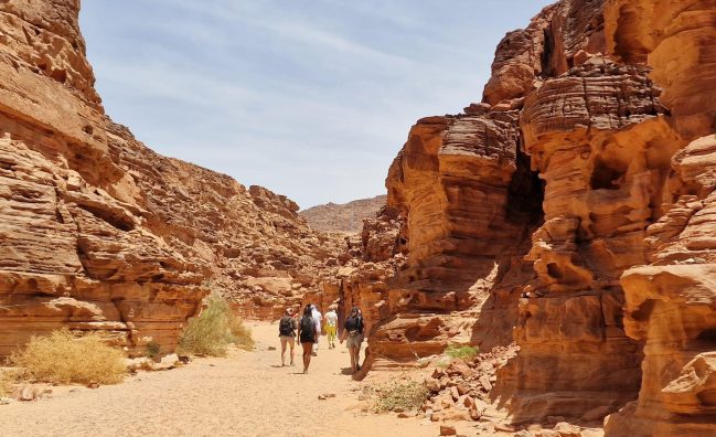 White Canyon Safari 13