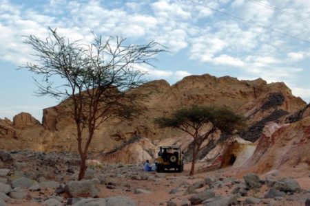 Sinai History