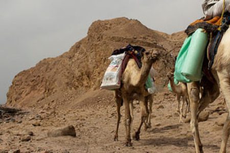 Dahab Activities