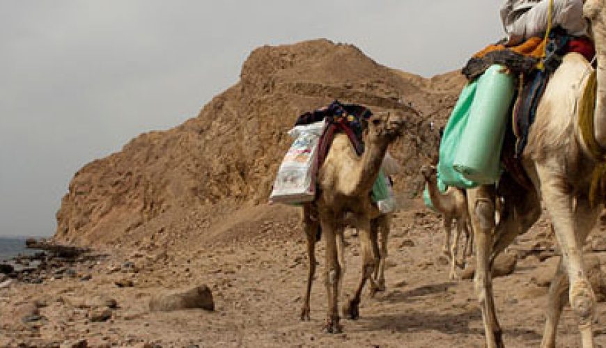 Dahab Activities