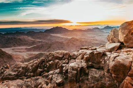 Sinai General Information