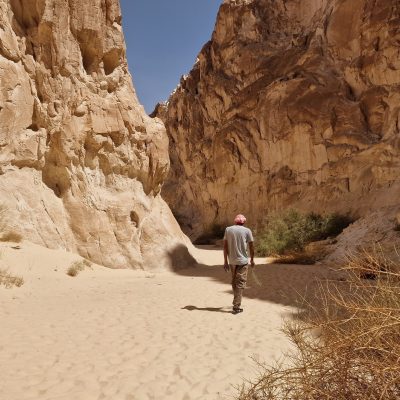 White Canyon